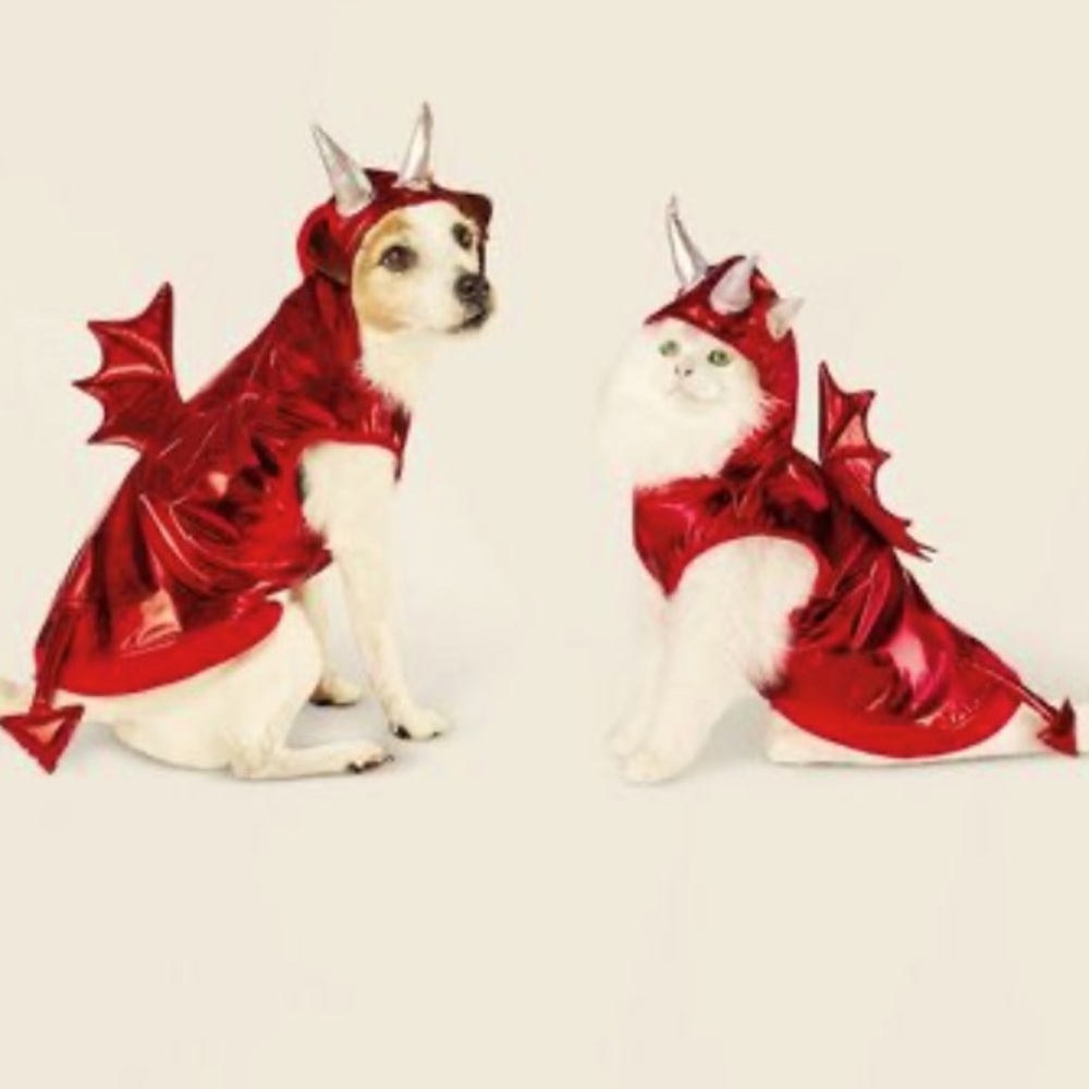 NEW Hyde and Eek dog devil costume it is metallic red with silver horns. Medium